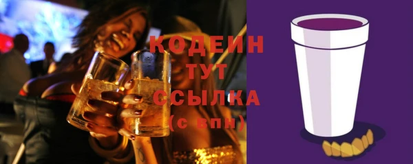 дживик Богородицк