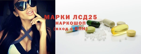 дживик Богородицк