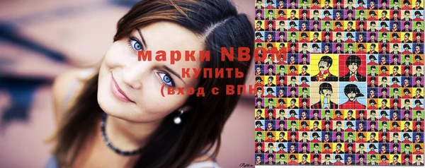дживик Богородицк