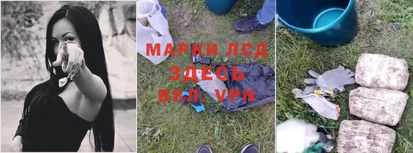 дживик Богородицк