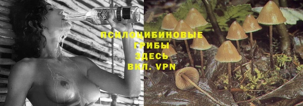 дживик Богородицк