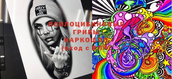 кокс Бородино