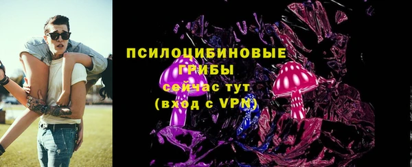 скорость Богданович