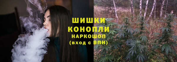 apvp Богородск