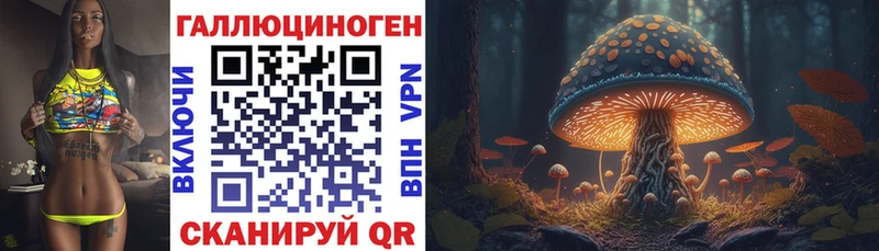 гидра ссылка  Волчанск  Псилоцибиновые грибы Cubensis 